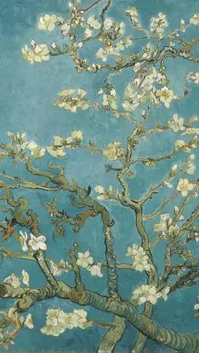 梵高《盛开的杏树》