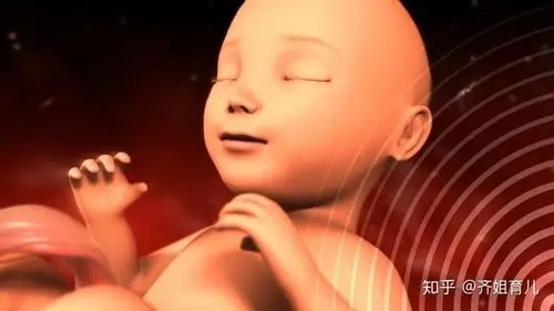 白天一动不动,晚上胎动频繁,胎儿喜欢"熬夜",多是因为这3点