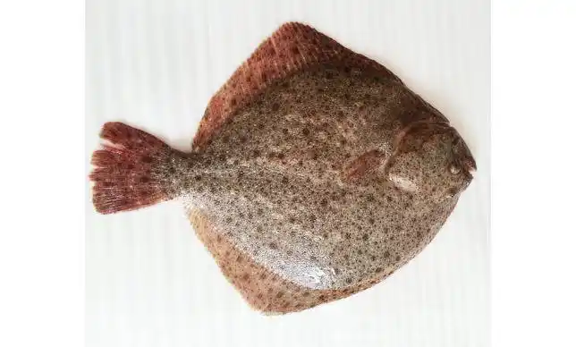 富民市场杭记市场代购