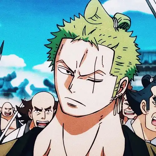 海贼王 (头像) 最爱索隆图源vb.