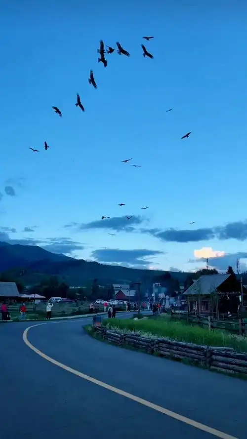 旅游进行时#向往自由自在的生活方式