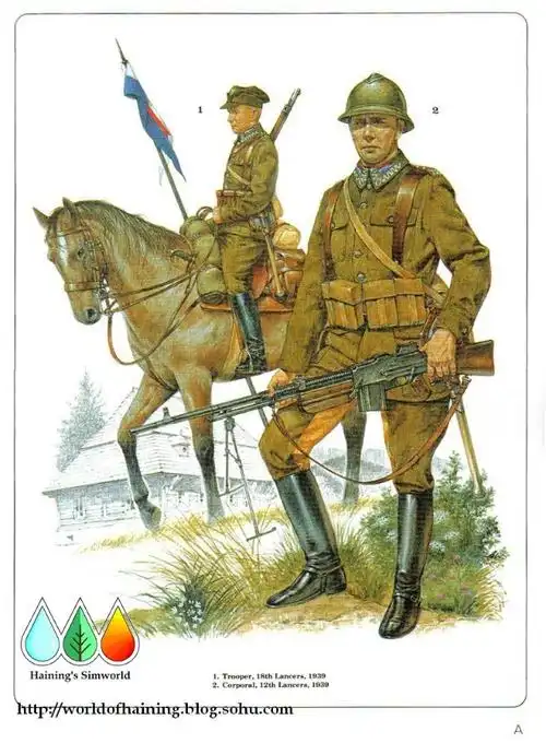 二战波兰军服图册