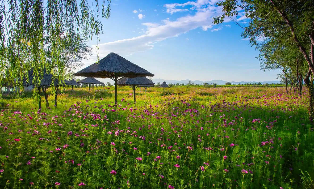 花湖生态旅游区,这个四季如画,生机盎然的天