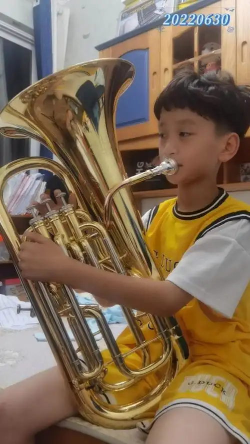 管乐  #上低音号   儿子吹的新曲子真好听,勾起了我想重新入看看痘
