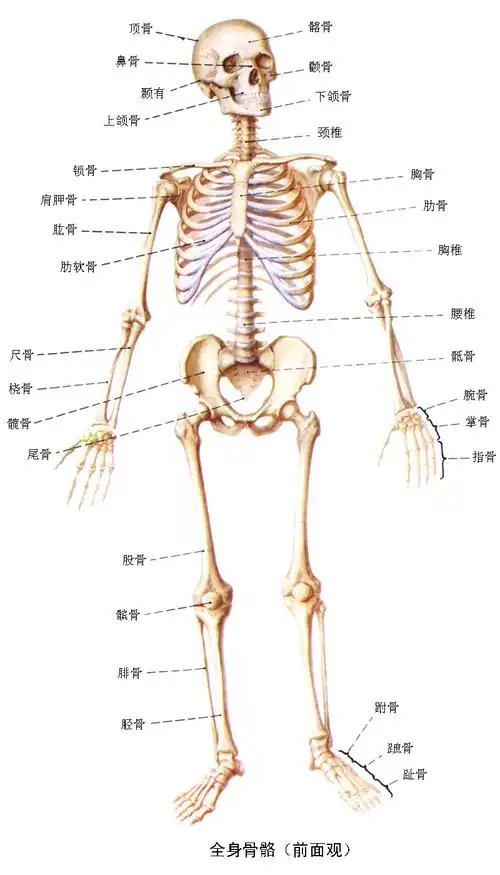 地震伤残截肢者的康复与护理 视频(6)