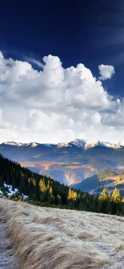 苹果壁纸,安卓壁纸,iphonex壁纸,iphone13壁纸,全面屏壁纸高清图,2022