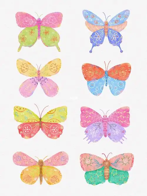 蝴蝶插画每一只蝴蝶都有自己的颜色