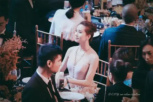 2016芭莎明星慈善夜:刘诗诗(北方有佳人,绝世而独立.