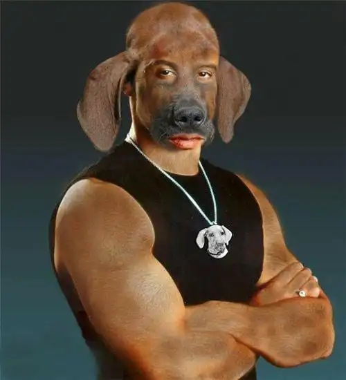 笑话帮 搞笑图片 爆笑搞怪 【爆笑】超级恶搞图片之外国明星遭恶搞,惨