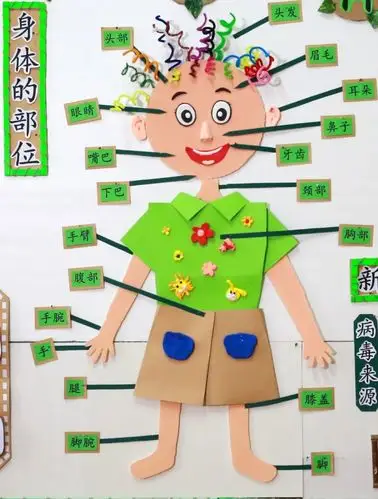 《身体的部位》