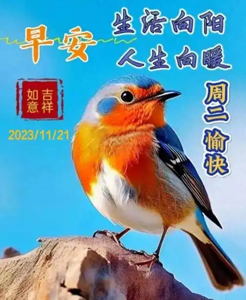 清晨问候祝福语,朋友圈早安图片_生活_友谊_和平