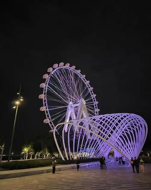 深圳新地标"湾区之光"摩天轮成为城市文化新亮点位于深圳市宝安区滨海