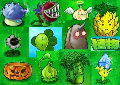 植物大战僵尸石果子简笔画 简笔画图片大全-普车都