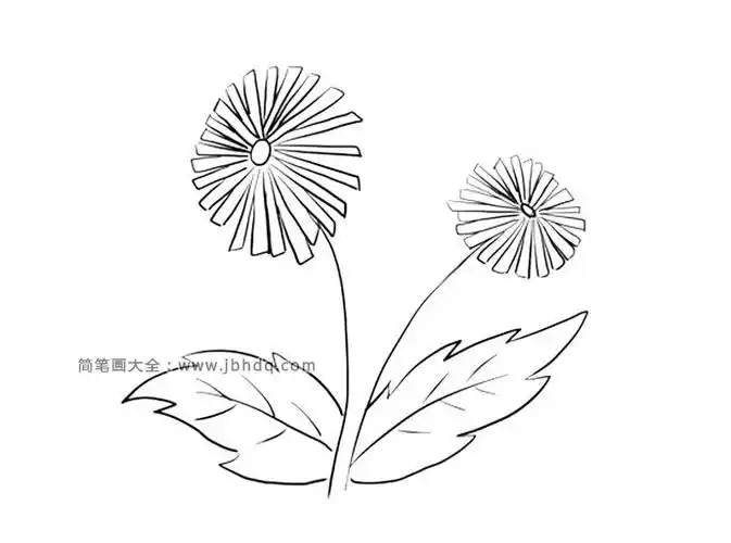 雏菊教程:首先画一个小圆,作为花芯,然后在小圆外面画上雏菊的花瓣