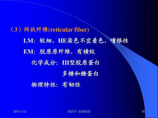自然科学 生物学 组织学与胚胎学结缔组织ppt (3)网状纤维(reticular
