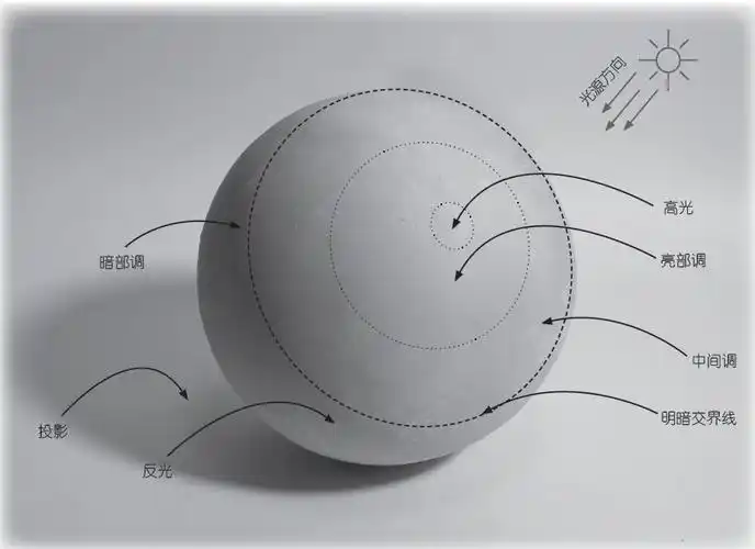 从结构观察到光影分析,手把手教你画好一个球体_素描