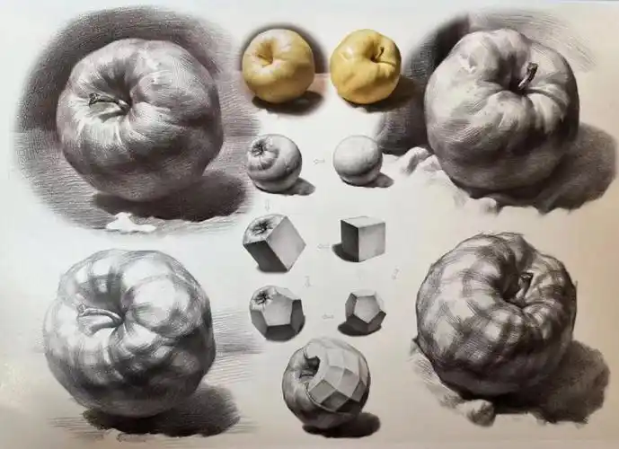 零基础怎么画素描苹果?