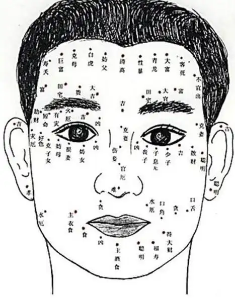 痣相图解大全男标准(男人面部痣相分析图),面相大剖析::面相图解算命