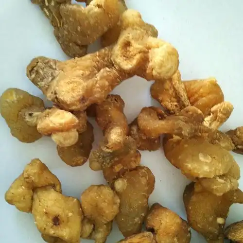 中药黄精的功效与作用是什么