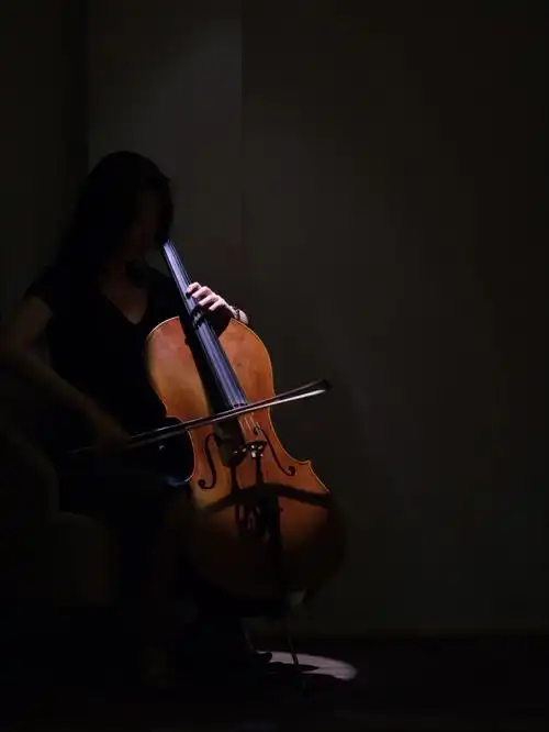 大提琴独奏