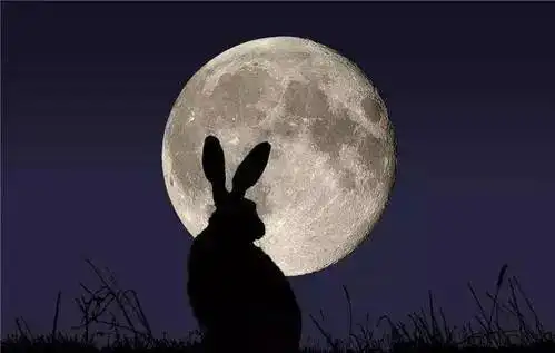 嫦娥的眼泪:月亮像女人一样美,男人跟权力一样坏!