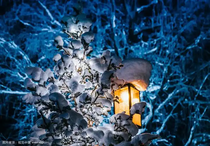 冬夜城市街道上的雪灯