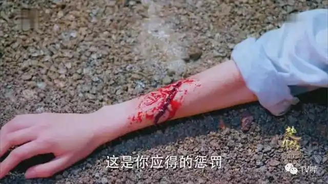 《楚乔传》剧情节奏快 配角也很有料!(2)