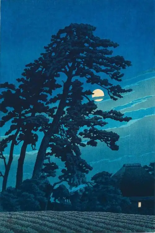 即将绝版浮世绘艺术300年一套典藏级宝藏书精选53位名家代表作还有