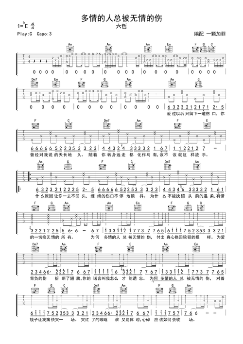 六哲《多情的人总被无情的伤》吉他谱