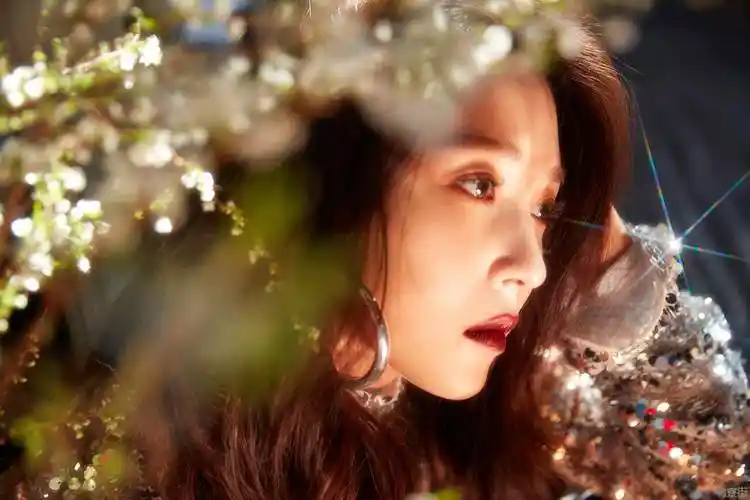 韩国女歌手宝儿被检方调查韩国宝儿被检方调查