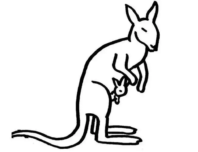 袋鼠袋袋简笔画