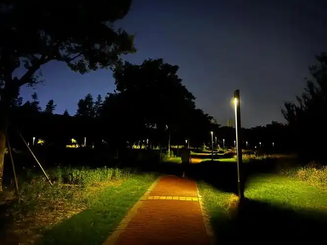 天终于凉了晚上公园里热闹的