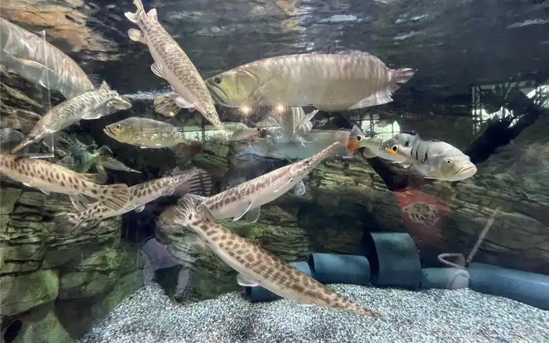 北京动物园海洋馆的欢乐时光(o^^o)