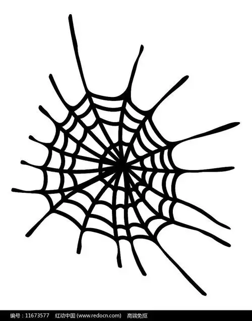 手绘简笔画蜘蛛网