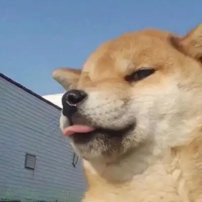 可以笑死人的图片头像