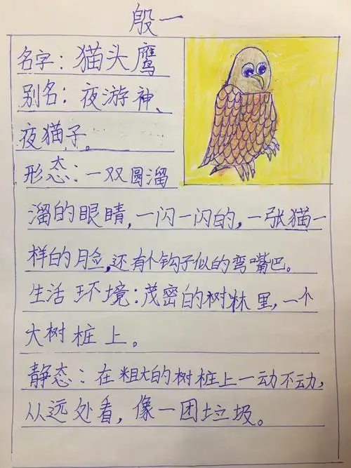 【主题作品】动物备忘录