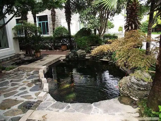 家中院子像这样来设计鱼池,往下三代都能富贵有余!