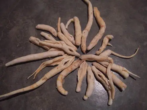 刘大姐药材铺川明参沙参明党参明参补血补气佳品