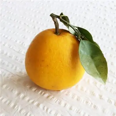 一个黄色的橙子图片,真实的橙子做头像也比较个性的