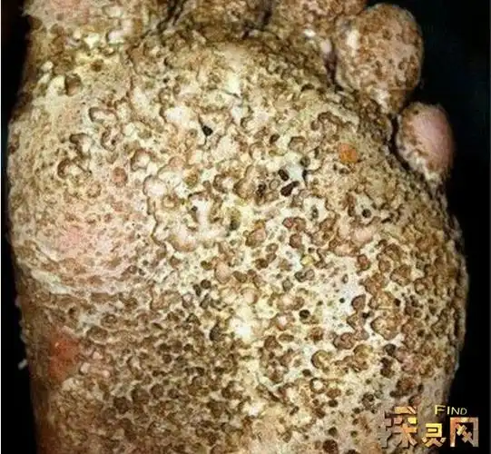 玉米男孩是《十宗罪》中,最恐怖的事件世界,而且比芝麻女孩更加毛骨