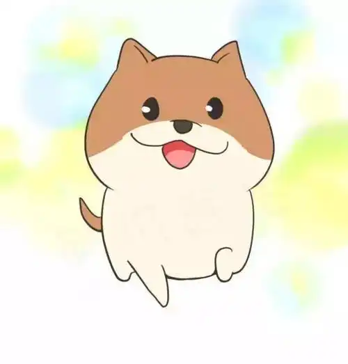 博美犬我祖上可是拉雪橇的