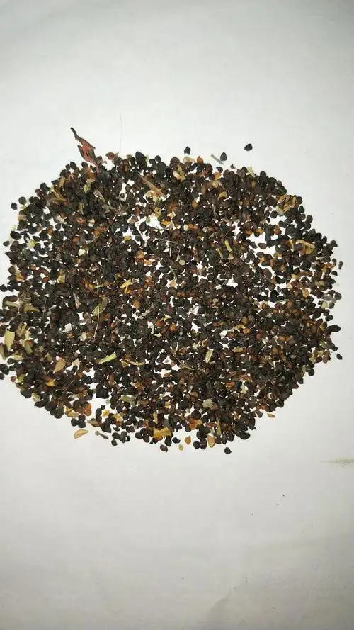 哇……原来这个是康乃馨的种子