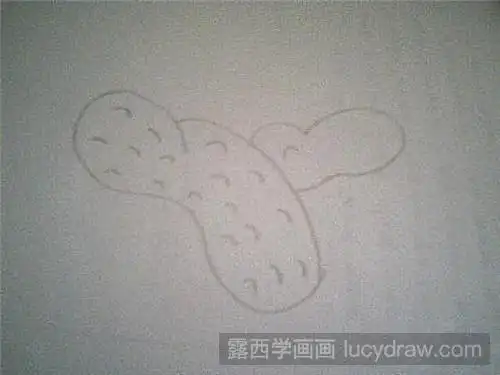 简笔画教程:怎么画花生