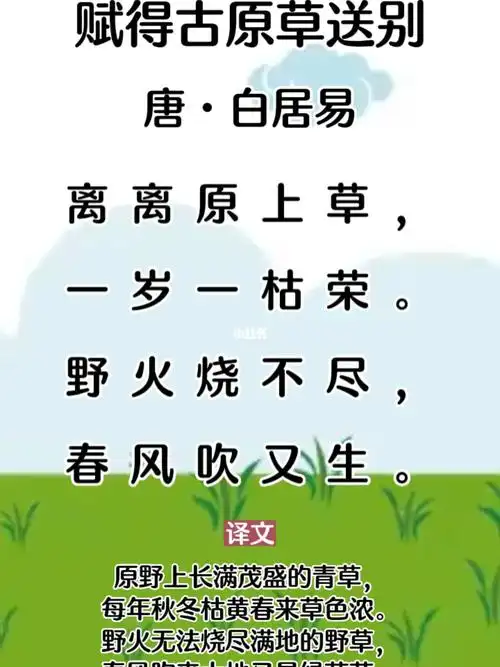 赋得古原草送别