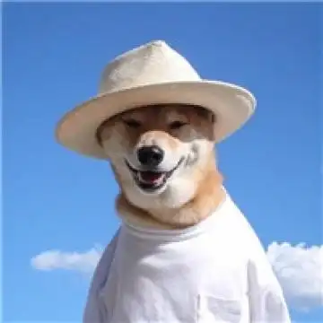 逗比动物欢乐多,动物头像图片-回车桌面