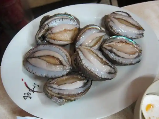 赞好             赞好             赞好           鲍鱼 199 浏览