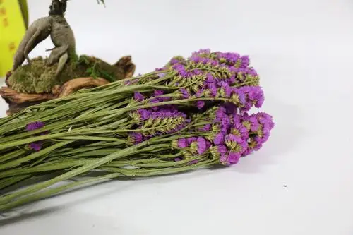 【勿忘我】厂家批发花艺辅材勿忘我干花干草客厅装饰素材干花花束
