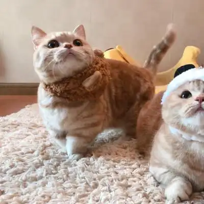 最新人像闺蜜头像