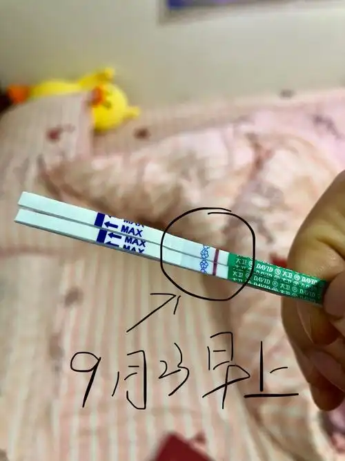 毓婷早孕试纸什么时候用最准确(怀孕多久能用_大全-幸福起航