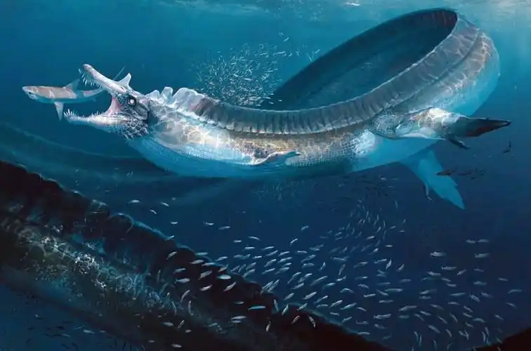 方舟辉煌之海煌鳍龙